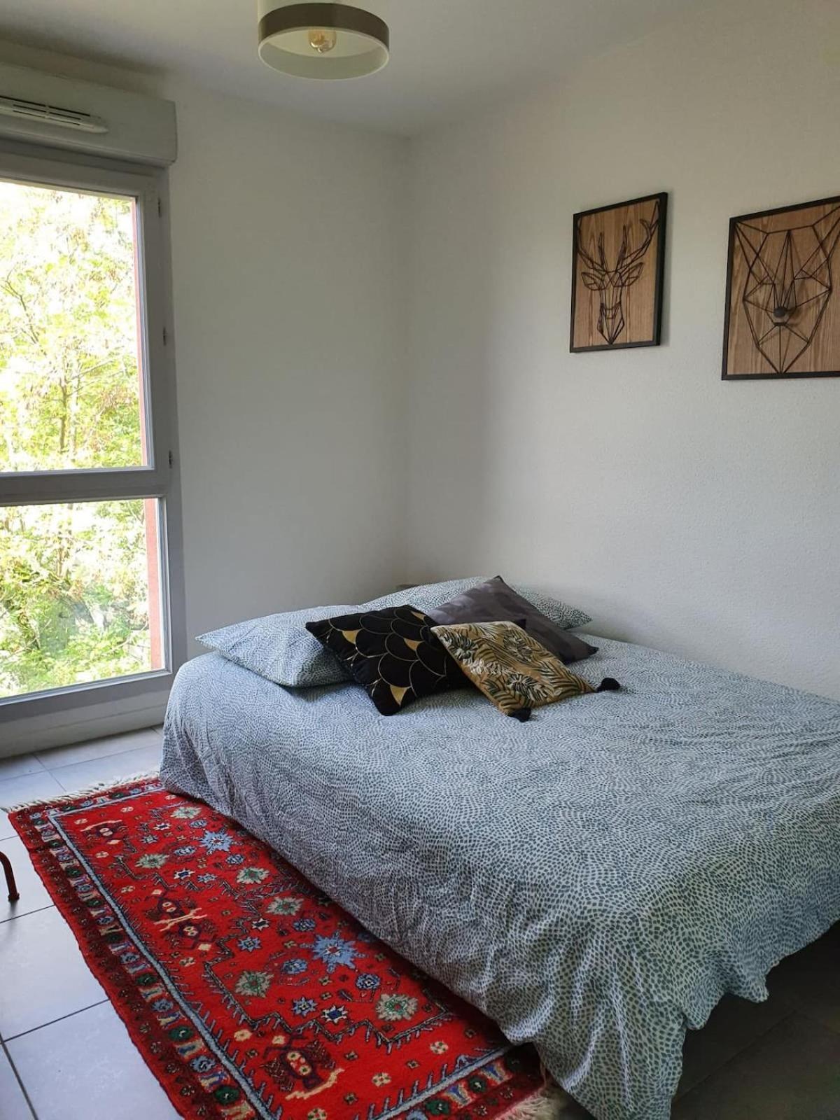 Daurade Balcon Parking Free - Bus Proche Centre Apartman Toulouse Kültér fotó